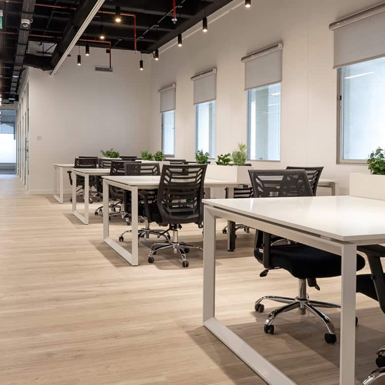 Bright office workspace with natural light, white desks, and plant decor, ideal for productivity at Nextspace UAE.