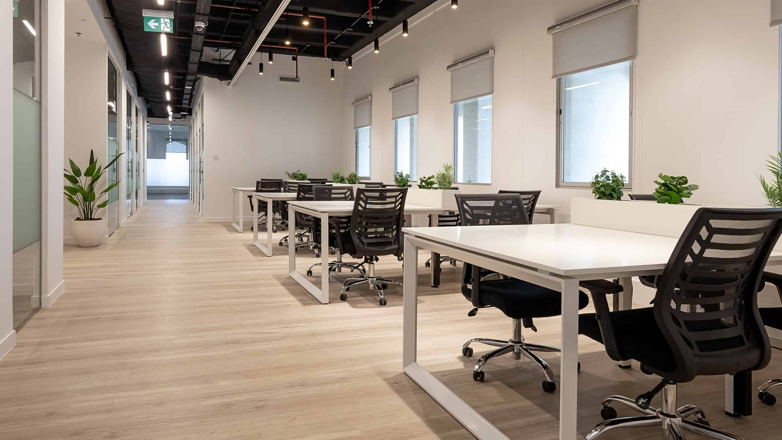 Bright office workspace with natural light, white desks, and plant decor, ideal for productivity at Nextspace UAE.