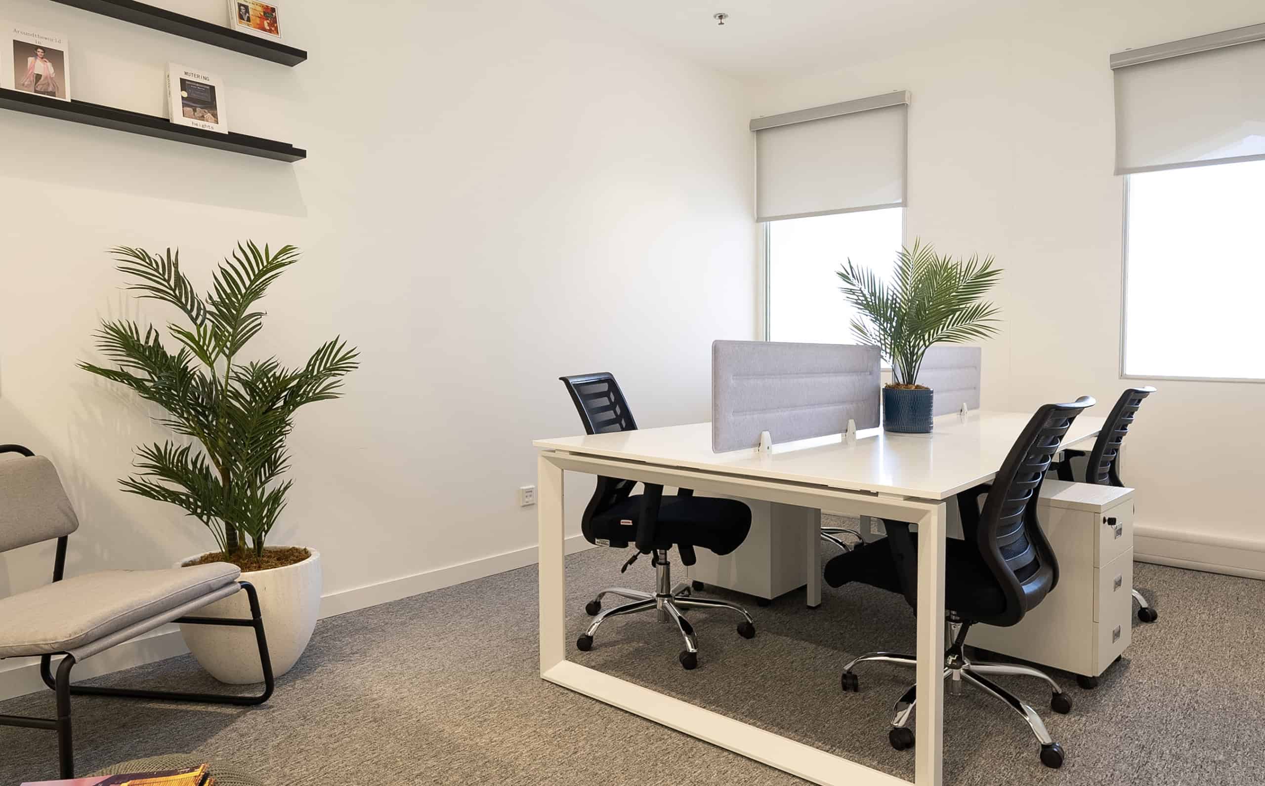 Spacious Dubai office with desks, ergonomic chairs, and indoor plants for a productive work environment.