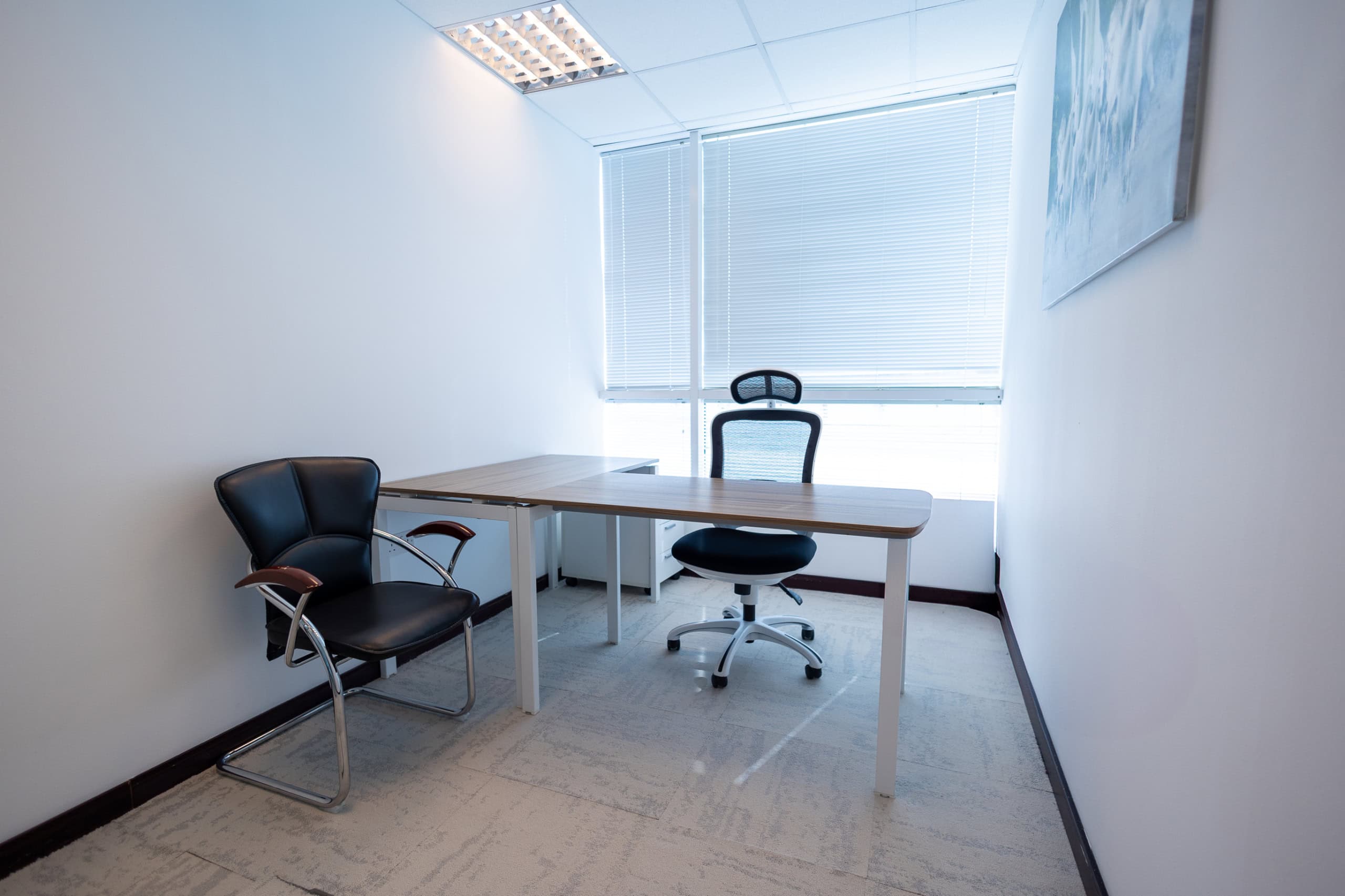 Clean, contemporary workspace with office chairs, desk, and large window blinds.