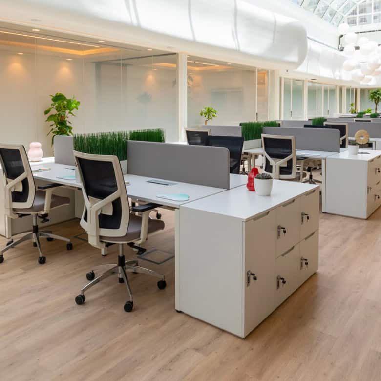 Bright, open-plan office with ergonomic chairs, desks, and greenery at Nextspace UAE.