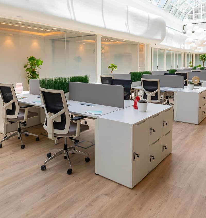 Bright, open-plan office with ergonomic chairs, desks, and greenery at Nextspace UAE.