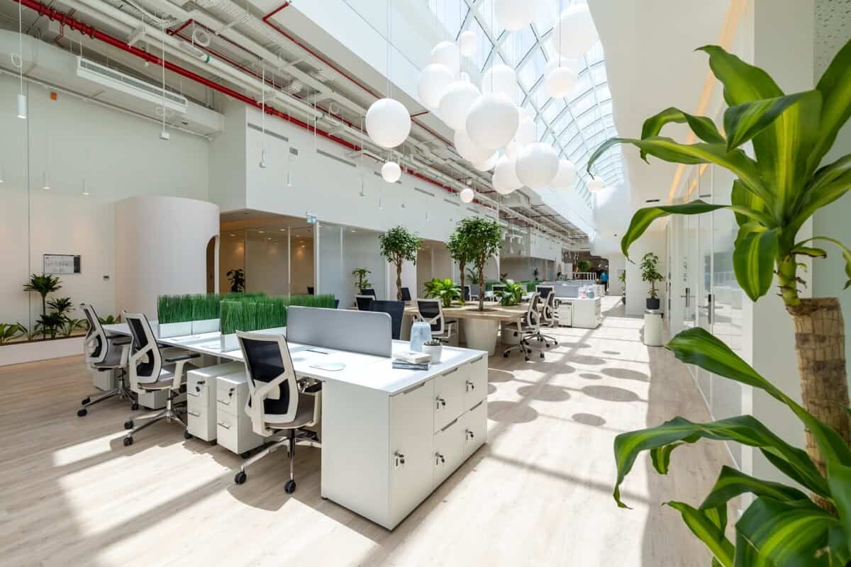 Bright coworking office space with ergonomic furniture and greenery in UAE.