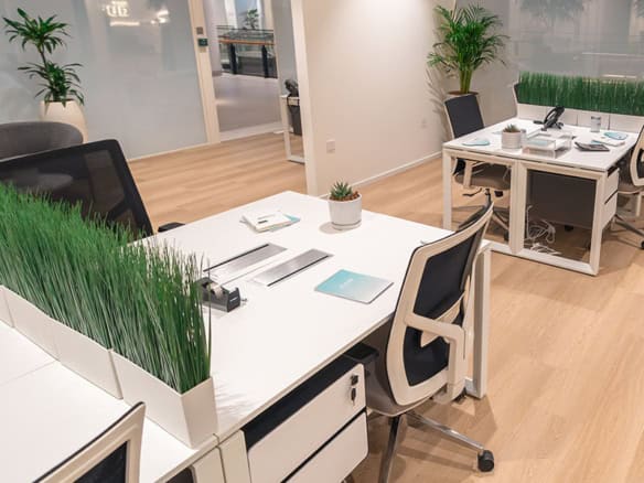 Bright office workspace with plants, desks, and ergonomic chairs in Dubai, UAE.