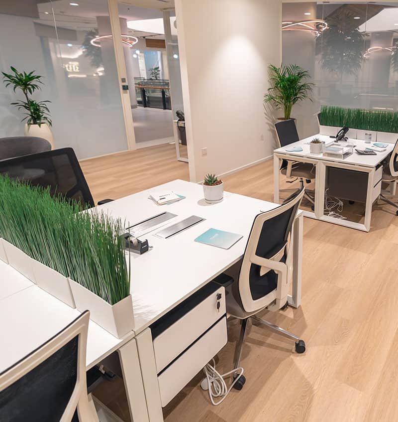 Bright office workspace with plants, desks, and ergonomic chairs in Dubai, UAE.