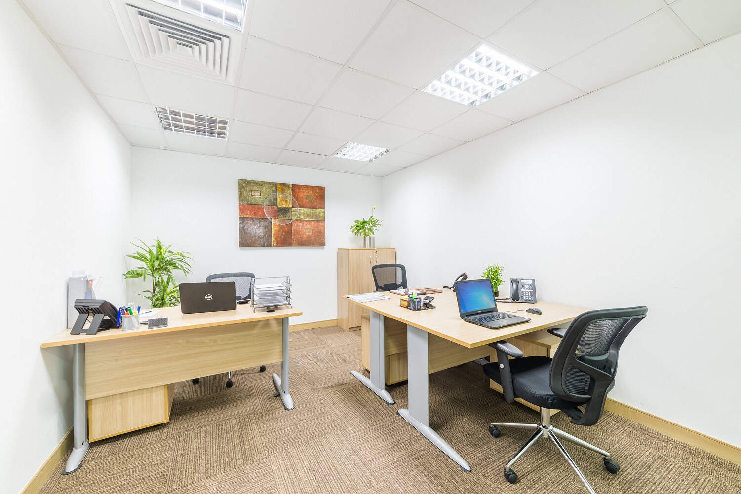 Modern office setup with desks, laptops, and plants in UAE coworking space.
