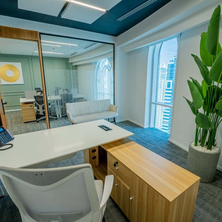 Bright Dubai coworking office featuring glass walls, stylish furniture, and a large potted plant, ideal for productivity.
