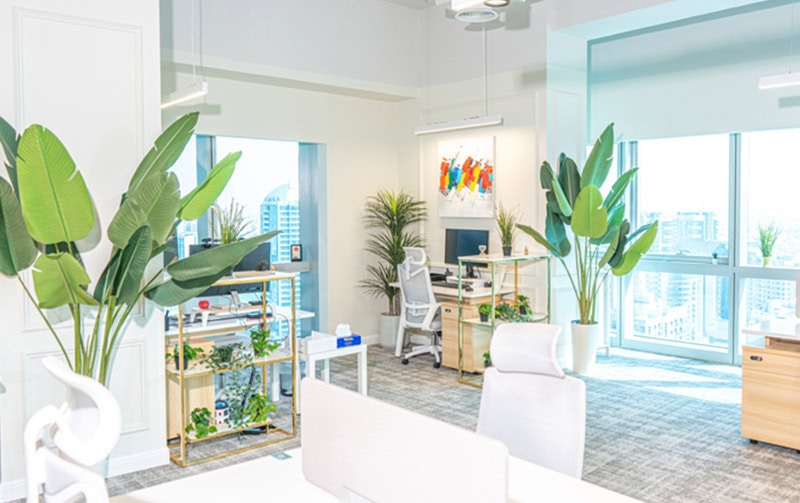 Bright, airy office with plants and contemporary furnishings in Dubai UAE.