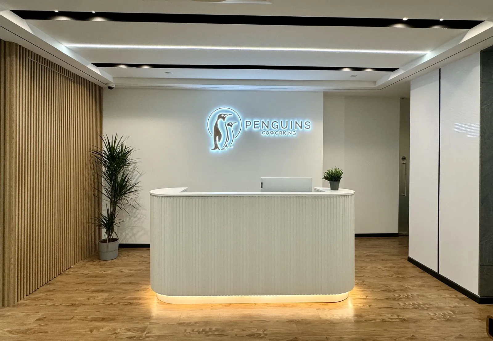 Penguins Coworking, 丹戎巴葛