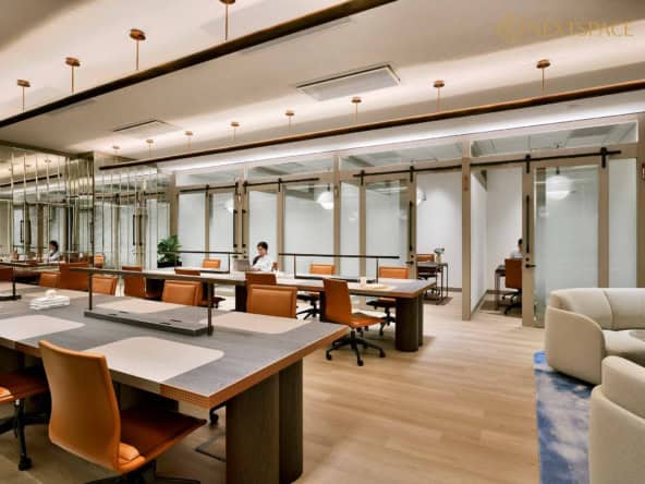 Afro Asia serviced office Raffles Place 2