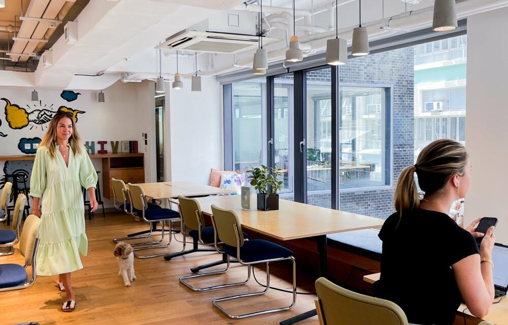 The_hive_poho_coworking_space