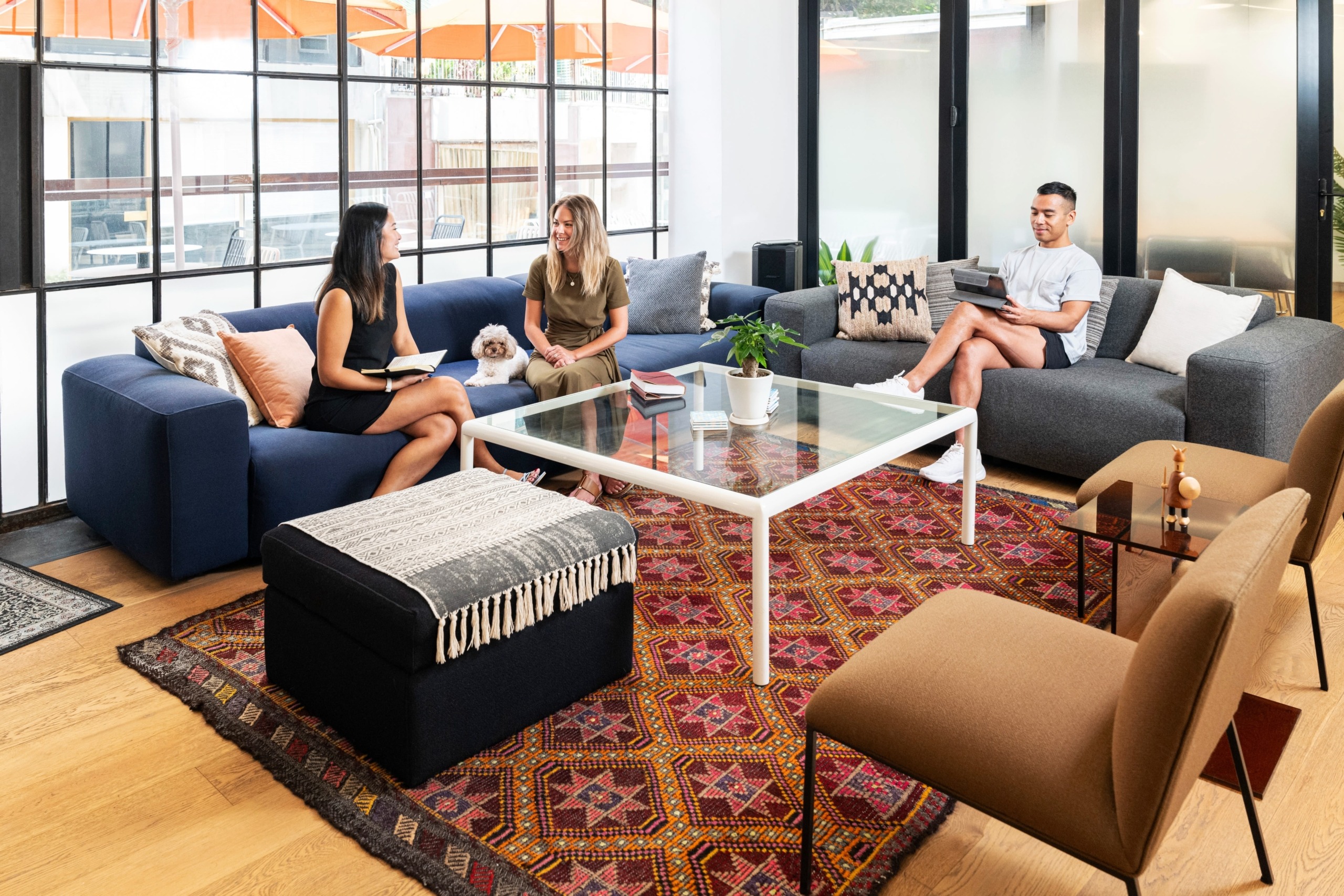 The_hive_poho_coworking_space_Common_area